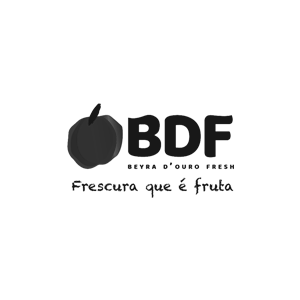 Bdfresh Logo