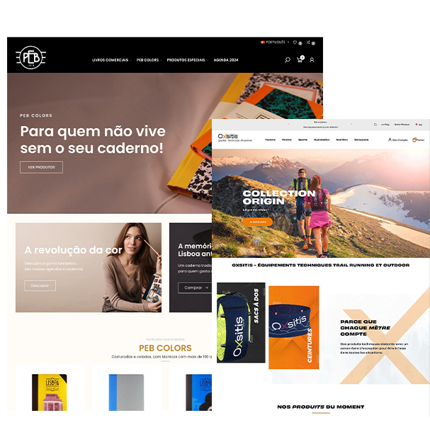 Creation of an Online Store in Viseu, Porto, Lisbon, Coimbra and Aveiro